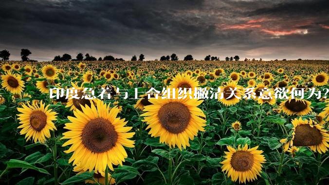 印度急着与上合组织撇清关系意欲何为？